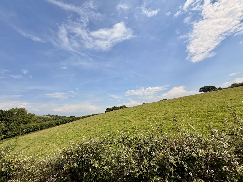  Trewidland